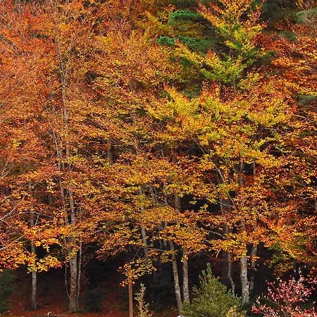 Estarrun Hétvégi ház *