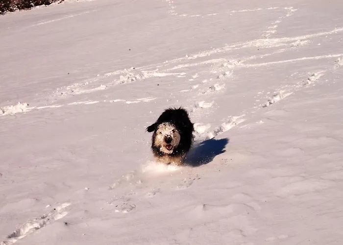 Estarrún Casa rural