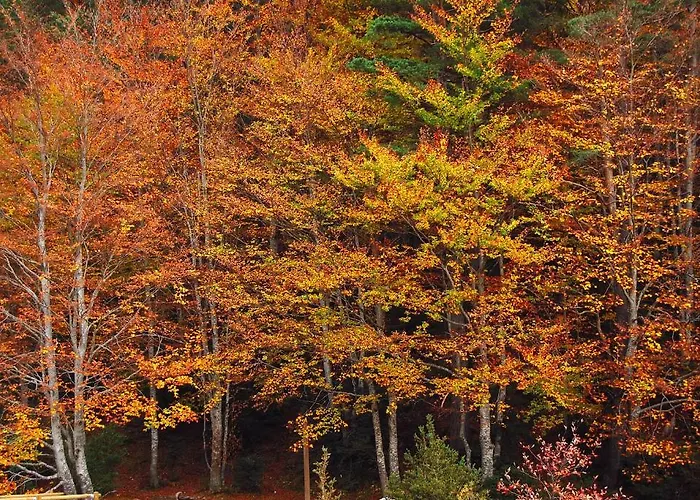 Estarrún Casa rural *