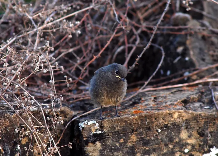 Casa rural Estarrún